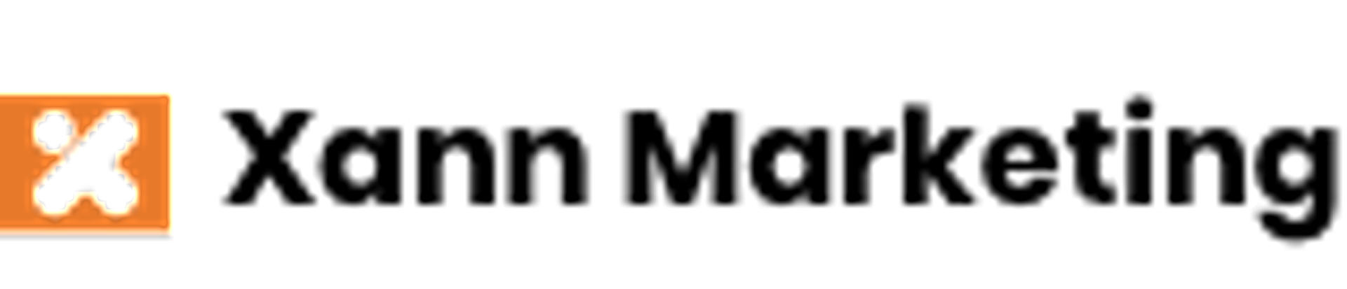 xann marketing logo